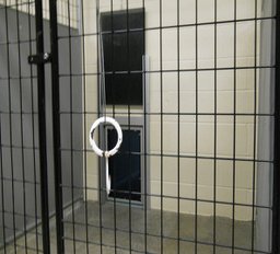Dog Cage Interior